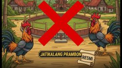 Klarifikasi dan Sanggahan: Tidak Benar Ada Pembiaran Arena Sabung Ayam di Jatikalang, Prambon